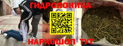 a pvp Будённовск