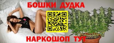 a pvp Будённовск